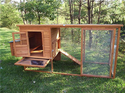 wooden chicken house DDP-8033