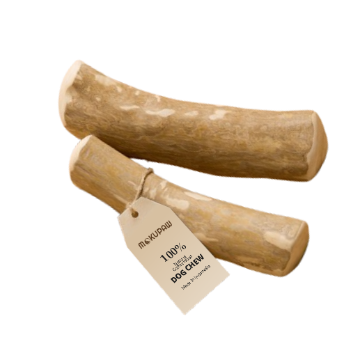 Dog Chew Coffee Wood Stick