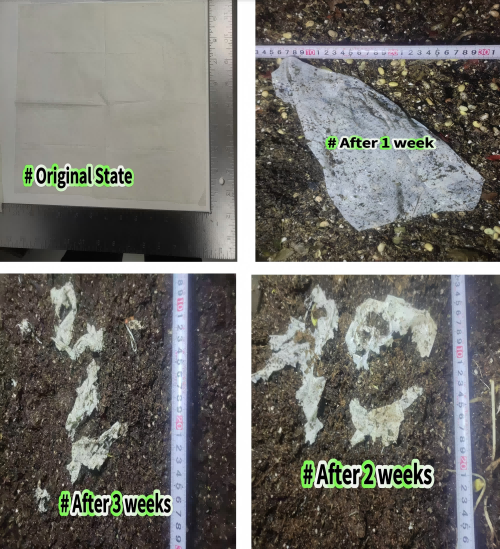 Home composting and degradable effect (1).png